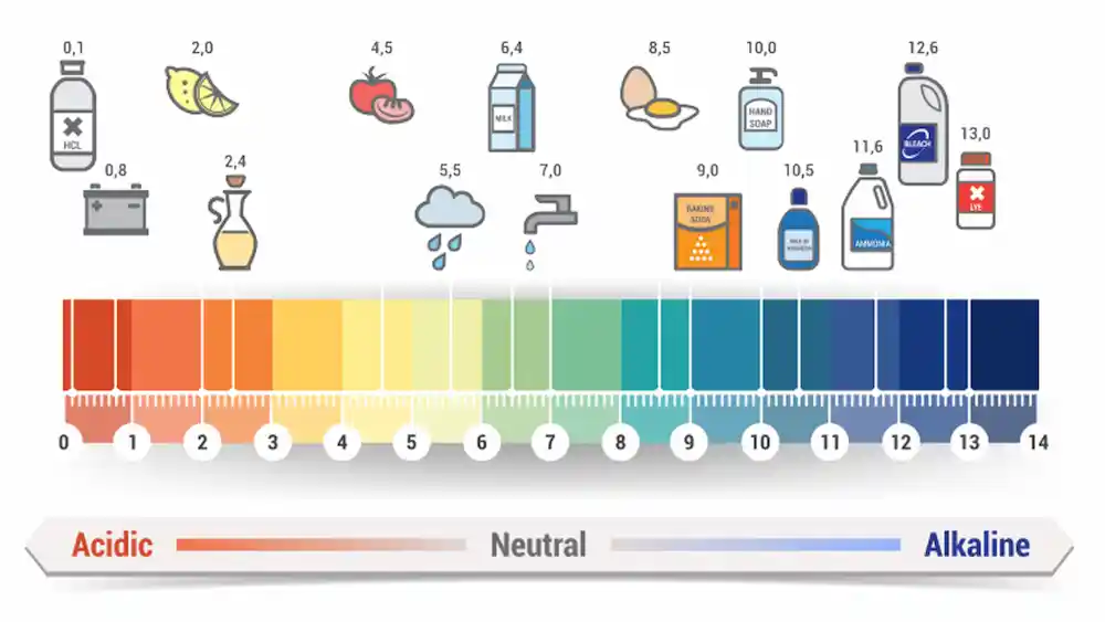 pH values of common liquid foods/Humming Probe - UltraE